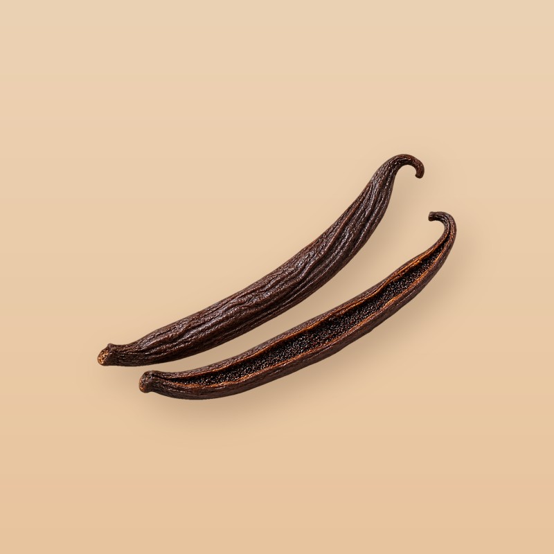 바닐라 실론 이미지