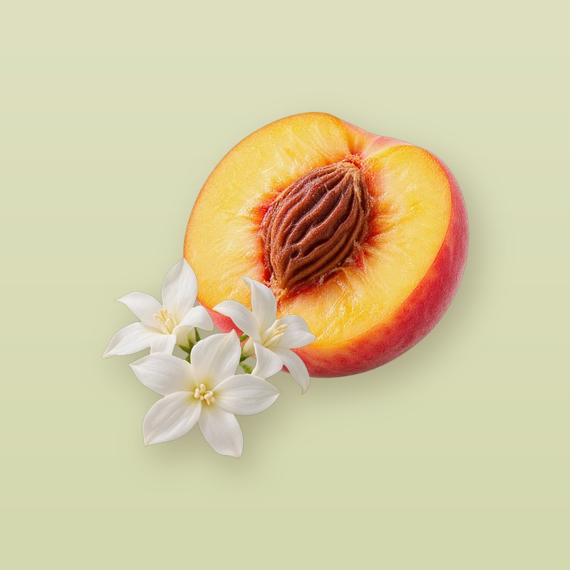 No.20 자스민 넥타 이미지