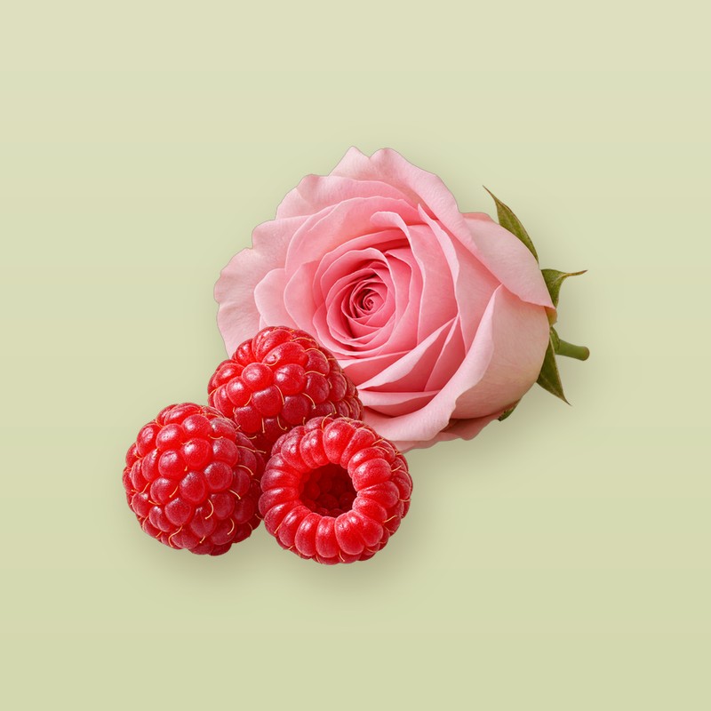 파리 포 유 이미지