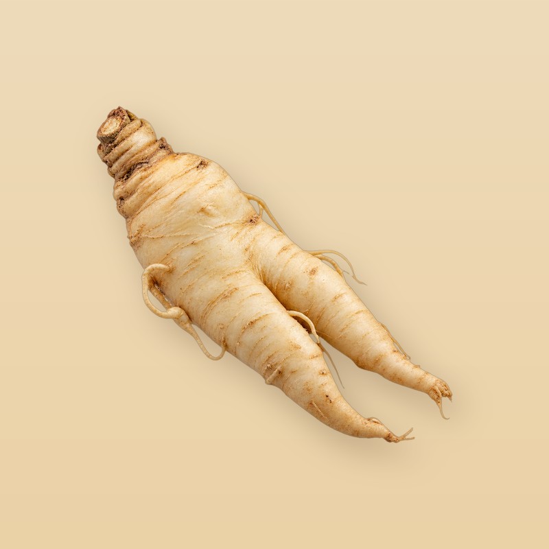 913 차왕 이미지