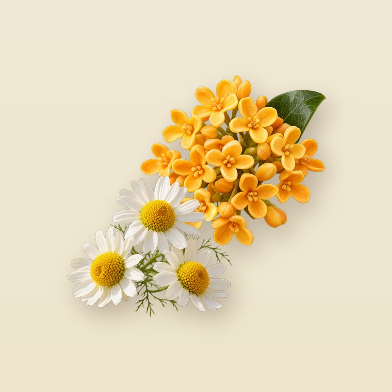 No.72 화이트 페탈 이미지