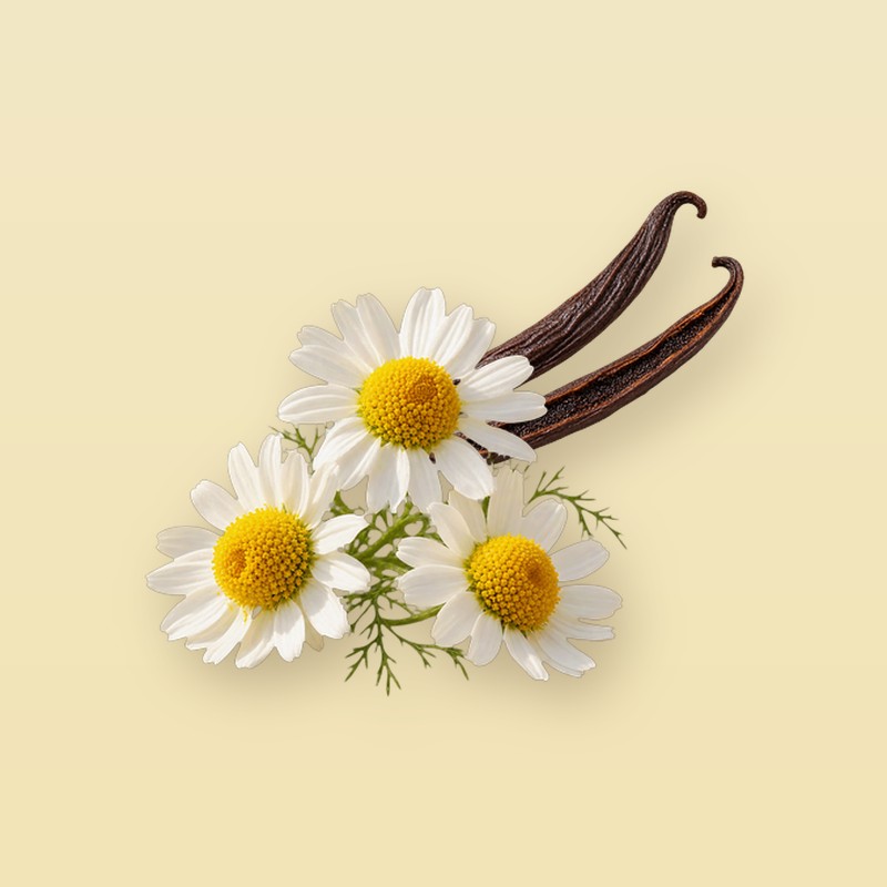 슈퍼블렌즈 슬립 이미지